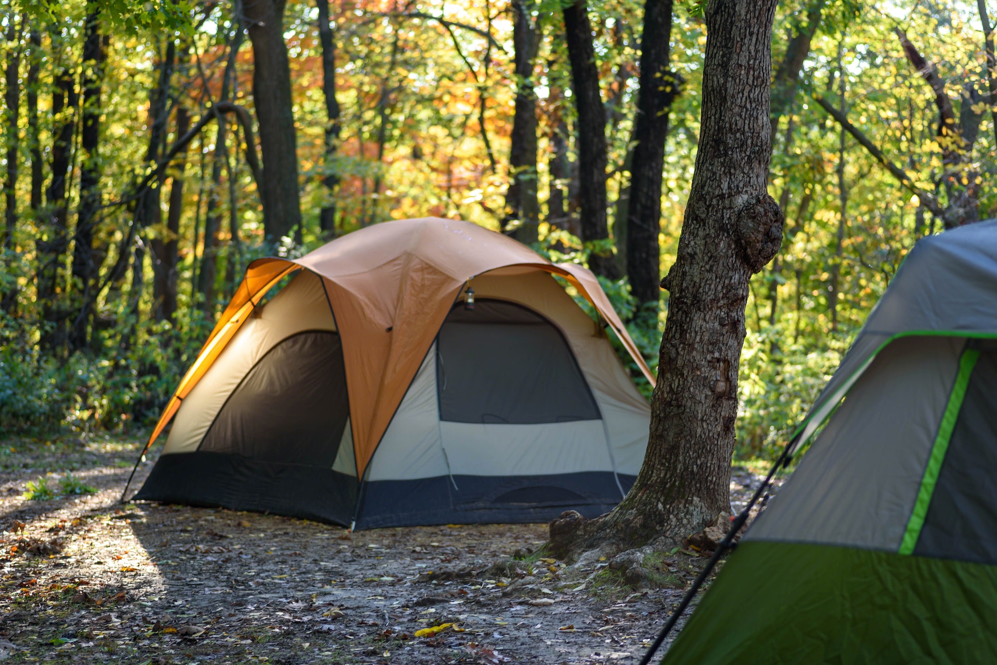 Two tents on campsite in Autumn sunlight